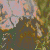 :iconxxpaynexx: