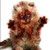 :iconxxpineapplescreamsxx: