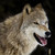 :iconxxpto-myluvxx: