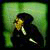 :iconxxranxx: