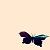 xxRinnaxx :iconxxrinnaxx: