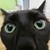 :iconxxsahara96xx: