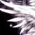 :iconxxshadowstarxx: