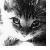 :iconxxshadowxwitchxx: