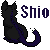 :iconxxshio-chanxx: