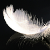 :iconxxsilverfeatherxx: