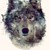 XxSnoWolfxX :iconxxsnowolfxx: