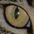 :iconxxspirit-wolfxx: