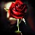 :iconxxstarlessxx56: