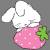 :iconxxstrawberrycakexx: