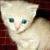 :iconxxswim-chickxx: