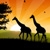 :iconxxtake-the-chancexx: