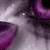 :iconxxtellxxmexxwhy: