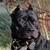 xxtgxx :iconxxtgxx: