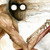 :iconxxtherakexx: