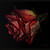 :iconxxtwifanpirexx: