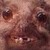 :iconxxtwisterkittyxx:
