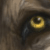:iconxxvastxx:
