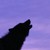 :iconxxwingedwolvesxx: