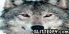 group avatar