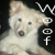 :iconxxxamellxxx: