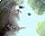 :iconxxxbellaxxx: