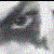 :iconxxxdelphiexxx: