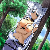 :iconxxxdevilcatxxx: