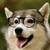 xxxFlightyNightxxx :iconxxxflightynightxxx: