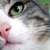 :iconxxxfucked-upxxx: