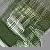 :iconxxximxonxfirexxx: