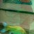 :iconxxxinvinciblexxx: