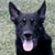 :iconxxxjaypaw-samaxxx: