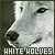 :iconxxxmysticwolfxxx:
