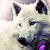 XxXMysticWolfxXx :iconxxxmysticwolfxxx: