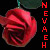 :iconxxxnevaehxxx: