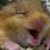 :iconxxxsaftschubsexxx: