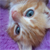 :iconxXxWhIsPeRxXx:
