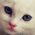 :iconxxxxcasperxxxx: