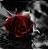 :iconxxxxredandblackxxxx: