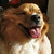 :iconxyagain: