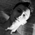 :iconxyka13: