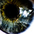 :iconxyloz: