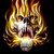 :iconxylus666: