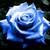 :iconxyroze: