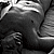 :iconxyz-stock: