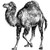 :iconxzibiting: