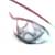 :icony-liang: