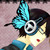 :icony-u-carry-gun: