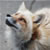 :iconya-wen: